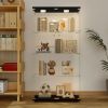 Tempered Glass Black Display Cabinet with LED Light, Remote Control and Multi Light Color Options