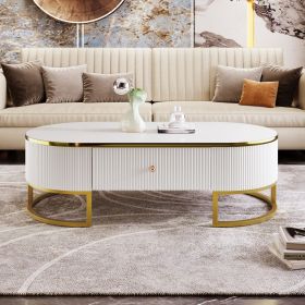 Modern Oval Coffee Table with Drawers, Curved Profile Design, Gold Metal Accents and 47.2"