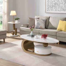 Modern Nesting Golden Coffee Table & End Table with 1 Bottom Round Drawer, Multiple Usage Options and Protective Foot Pads
