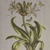 4-Piece Botanical Illustration Framed Canvas Wall Art Set with Wild Flowers Theme