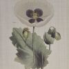 4-Piece Botanical Illustration Framed Canvas Wall Art Set with Wild Flowers Theme
