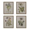 4-Piece Botanical Illustration Framed Canvas Wall Art Set with Wild Flowers Theme