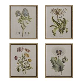 4-Piece Botanical Illustration Framed Canvas Wall Art Set with Wild Flowers Theme