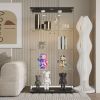 Tempered Glass Black Display Cabinet with LED Light, Remote Control and Multi Light Color Options