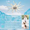Ceiling Light Fan with Remote Control, 6 Gear Wind Speed and Timer Setting