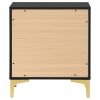 Black and Gold 2-Drawer Rectangular Nightstand