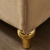 Modern Upholstery Velvet Chaise Lounge Chair with Hidden Storage, Matching Pillow and Gold Metal Legs