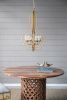 4 Light Metal Chandelier Hanging Light Fixture with Adjustable Chain and Valerio Nested Design