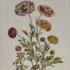4-Piece Botanical Illustration Framed Canvas Wall Art Set with Wild Flowers Theme