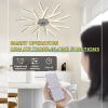 Ceiling Light Fan with Remote Control, 6 Gear Wind Speed and Timer Setting