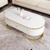 Modern Oval Coffee Table with Drawers, Curved Profile Design, Gold Metal Accents and 47.2"