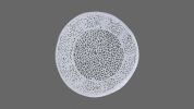 T3502-32 White Round Coffee Table with Aluminum Casted Mesh Frame Design