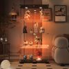 Tempered Glass Black Display Cabinet with LED Light, Remote Control and Multi Light Color Options