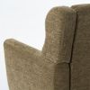 Chenille Upholstered Modern Accent Chair with Matching Waist Pillow and Wood Legs with Foot Pads