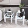 Set of 2, White Square Modern End Tables with Clear Tempered Glass Top, Frosted Bottom Glass and Metal Legs