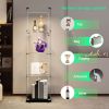 Tempered Glass Display Cabinet with Bluetooth LED Light Strip, Remote/App Control, 4 Tiers, and Multi Light Color Options