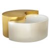 Ying Yang Modern & Contemporary Style 2 Piece Coffee Table with Iron Sheet Frame and Gold & Silver Finish