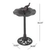 Outdoor Iron & Aluminum Top Bird Bath with Bird & Bowl Display and Intricate Detailed Design