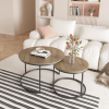 Nesting Coffee & End Table Set of 2 with Black Metal Frame