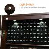 Lockable Wall/Door Mount Mirrored Jewelry Cabinet with LED Lights in Brown or White