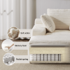Double Chaise Lounge Chair, Sleep Sofa with 1 Back Pillow & 2 Throw Pillows, Memory Foam Filled Cushions and 4 Color Options