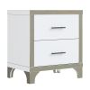 Elegant High Gloss Nightstand with 2 Drawers, Metal Handles and Silver Mirrored Trimming