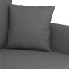 Dark Gray Sofa Chair with Padded Seat, Armrests and Back Pillow